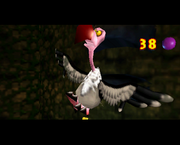 A Necky in Donkey Kong 64, shot by Lanky Kong