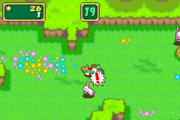 Yoshi is catching the rabbits.