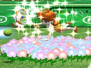 Daisy performing her Flowerbed Return.