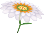 MK7 Flower Glider.png