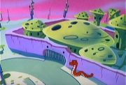 The Mushroom Colony.