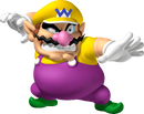 WarioMPDS.png