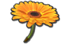100px-FlowerGliderMK8.png