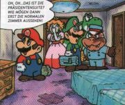 Mario and his friends in their "president's suite".