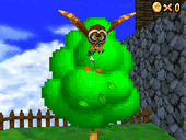 Hoot in Super Mario 64 DS.