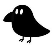 A Crow.