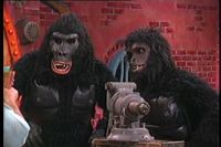 Luigi (right) and the real gorilla.