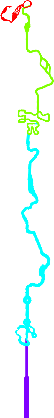 Special Cup (World) Colored.png