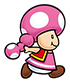 SMR_Toadette_Preview.png