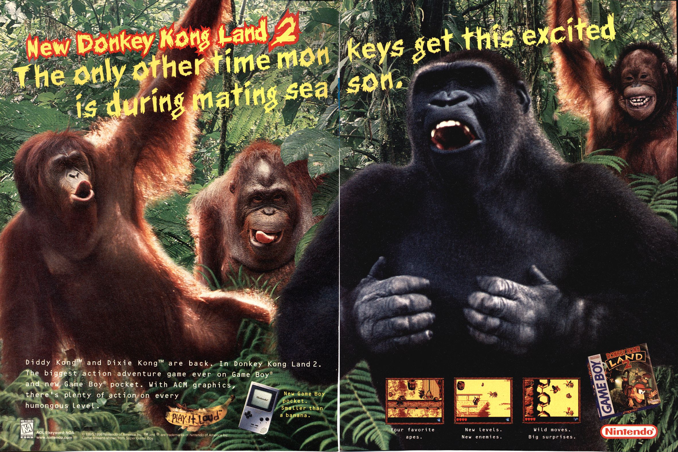 Donkey-Kong-Land-2_print_ad.jpeg
