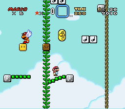 File:Gnarly SMW.png