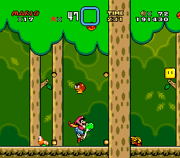 Forest_of_Illusion_1_SMW.png