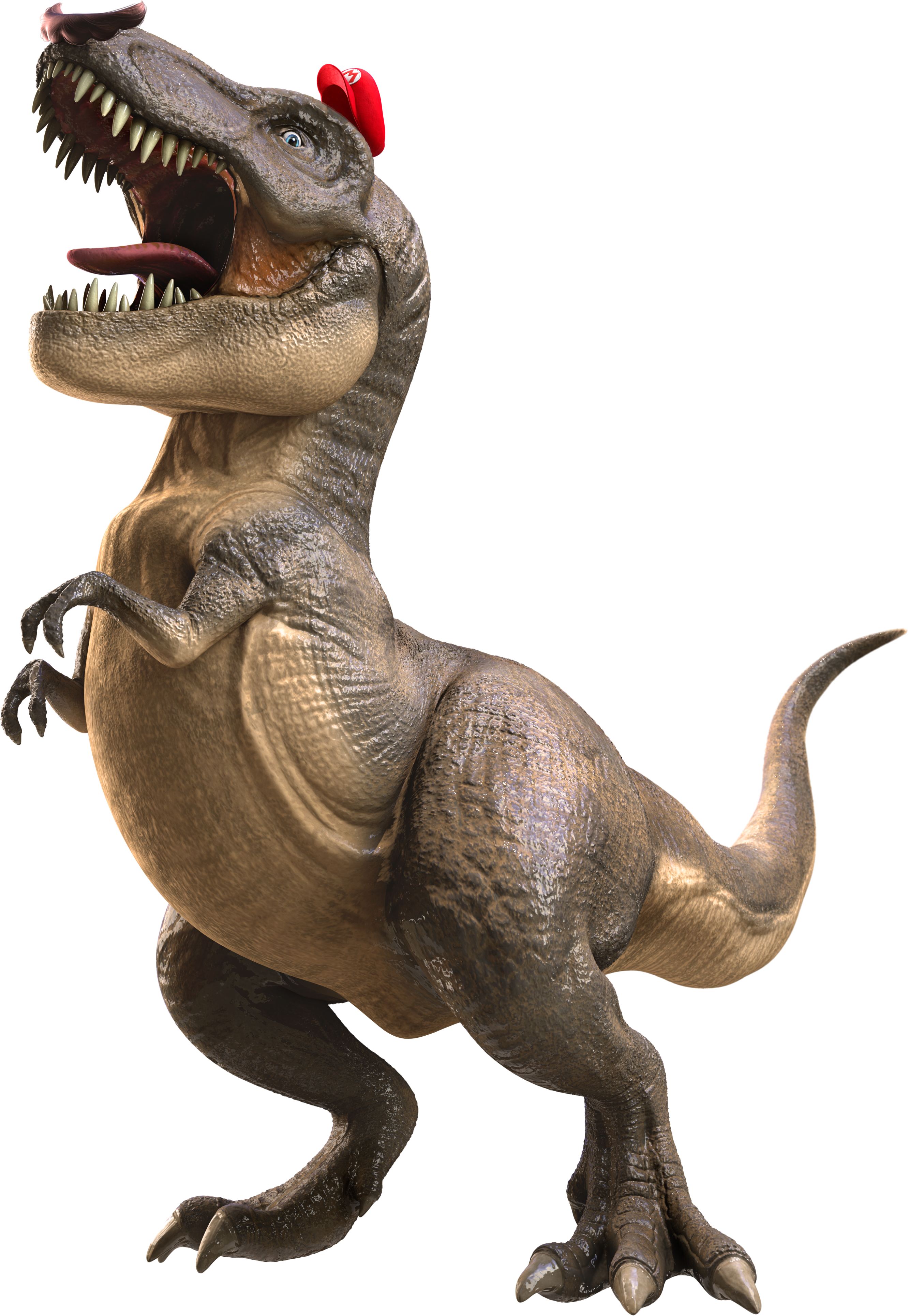 Диназавр. Рекс Тирекс. Реранозавор РККС. Тиранозавр рекс. Тираннозавр ти рекс.
