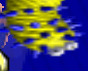 Thumbnail for version as of 13:43, March 4, 2007