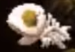 Thumbnail for version as of 22:37, April 11, 2018