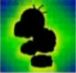 Thumbnail for version as of 19:17, September 29, 2010