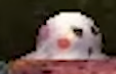 Thumbnail for version as of 07:08, April 7, 2018
