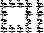 SMBPW Flamingo Border.png