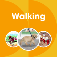 NM Walking PL V2.png
