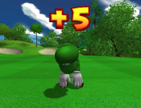 Plus5TT.png