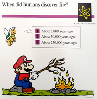 Fire quiz card.png