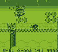 NM WL Rope Bridge Course.png