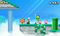 NSMB2 World 5-3.PNG