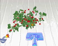 WWSM Spring Cleaning Fronk.png