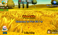 Heath-MSS.png