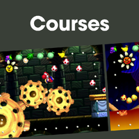 NM YS Courses PL.png
