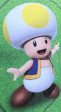 SMOSB Imposter Toad 2.jpg