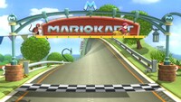 SSB4 Mario Circuit Finish Line.jpg