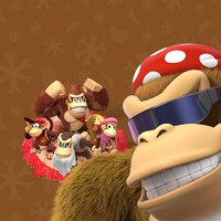 DKCTF Playable Characters Quiz preview.jpg
