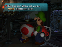 NM LM There There Toad.png