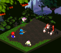 SMRPG Bonus Flower.png