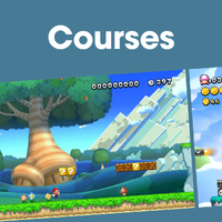 NM NSMBUD Courses PL.png