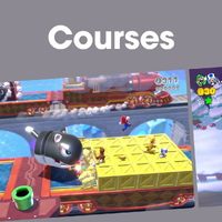 NM SM3DW+BF Courses PL.png