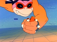 NinjaKoopa2.png