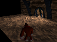 DK64 Kong prison.png