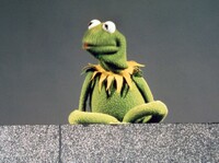 Kermit-1970s.jpg