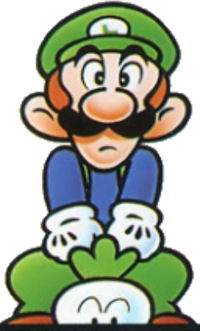 LuigiSMB2NES3.png