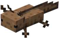 Minecraft Axolotl Wild.png