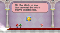 NSMBBMB15.png