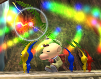 Pikmin Order Brawl.png