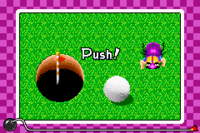 Bug Birdie.png
