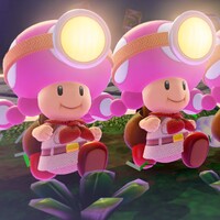 CTTT Screenshot Double Toadette.jpg