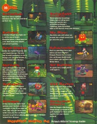 DK64 Prima 16.jpg
