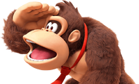 DK Looking 2025.png