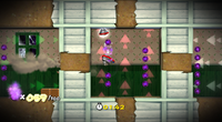 Purple Coin Spin.png