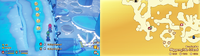 Slippenglide Island (5 Coins 2).png